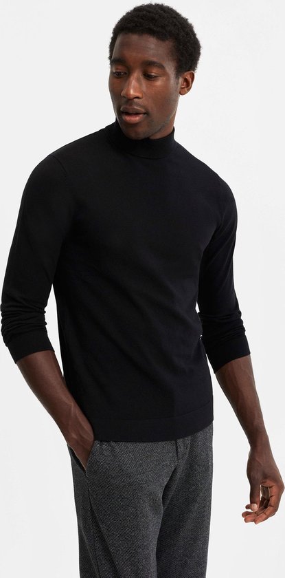 WE Fashion Heren fijngebreide trui met opstaande boord - Maat L | bol.com