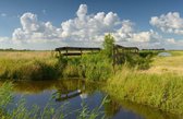 Fotobehang Waterland boerenhek in weiland 250 x 260 cm