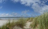 Fotobehang duinen en strand Ameland 250 x 260 cm - € 175,--