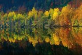 Fotobehang - Autumn Forest Lake 384x260cm - Vliesbehang