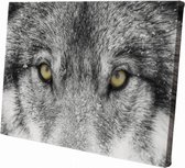 Wolf close-up | 60 x 40 CM | Wanddecoratie | Dieren op canvas |Schilderij | Canvasdoek | Schilderij op canvas