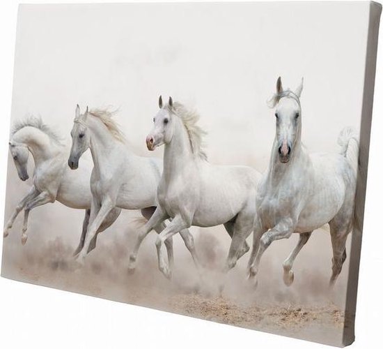 Witte paarden | | Wanddecoratie | Dieren op canvas | Canvasdoek | Schilderij op canvas