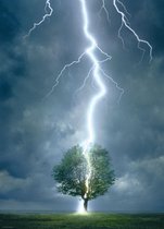Puzzel 1000 stukjes - Lightning Striking Tree