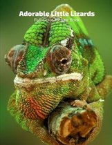 Adorable Little Lizards Full-Color Picture Book