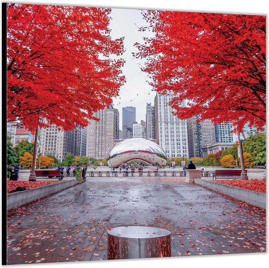 Dibond –Millennium Park - Chicago-100x100 Foto op Aluminium (Met ophang)