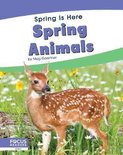 Spring Animals