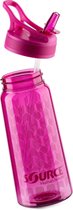 Source Bidon Sport 0,75 Liter 25 X 9 Cm Roze