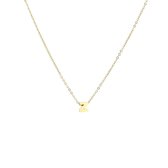 Nana dames ketting met letter "Z" goudkleurig | Liefde Cadeau