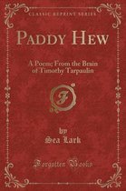 Paddy Hew