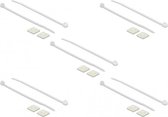 DeLOCK Tie-wraps 100 x 2,5mm (10 stuks) met zelfklevende houders (10 stuks) / transparant