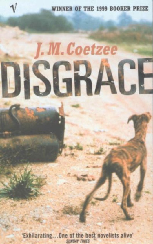 Omslag van Disgrace