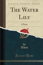 The Water Lily