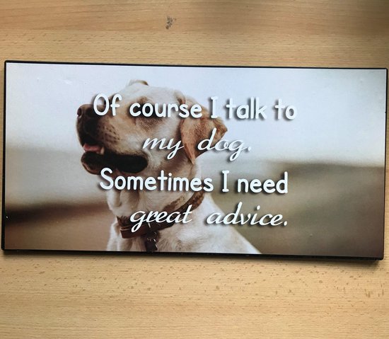 Groot tekstbord Of course I talk to my dog. Sometimes I need great advice