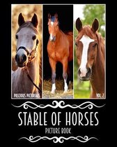 Precious Pictorials Stable Of Horses Picture Book Vol. 02