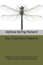 Our Common Insects