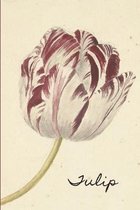 Tulip: Beautiful vintage painting of a single Tulip on a journal/Diary/Notebook to write in, doodle in or draw in. Great gift