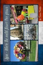 Lyon - Where the metal flower tree grows