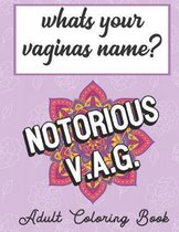 Whats Your Vaginas Name Adult Coloring Book: Amazing Unique and Funny Coloring Book that Highlight the Slang and Silly Words for Female Private Parts
