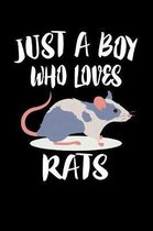 Just A Boy Who Loves Rats