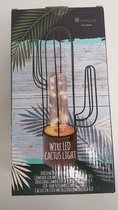 Cactus met LED lichtjes
