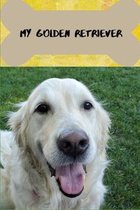 My Golden Retriever