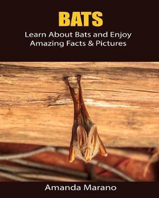 Bats Learn About Bats and Enjoy Amazing Facts & Pictures, Amanda