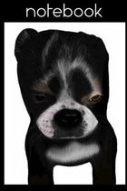 Boston Terrier Puppy Notebook: A lovely journal with a hand drawn image of a cute Boston Terrier puppy. Each page has Subject and Date boxes to easil