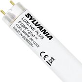 Sylvania Luxline Plus T8 18W - 840 Koel Wit | 60cm