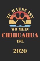 Chihuahua 2020