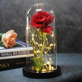 Roos in Glas - Beauty and The Beast Roos - Rode Roos in Glas - Rode Roos in Glas met LED - Roos in Glazen Stolp - Rood en Zwart
