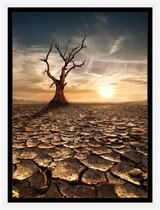 Zonsopgang posters - natuur poster – landschap poster -open vlakte wanddecoratie - 50x70 cm