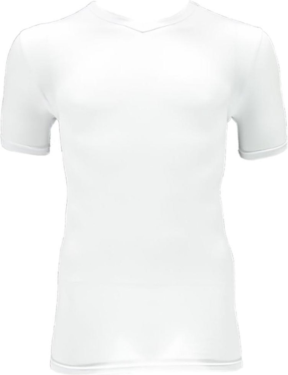 Apollo Heren T-shirt Bamboo Basic V-hals Wit L 2 stuks