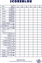 3x Scoreblokken Yahtzee 250 vellen - Scoreblok - Dobbelspellen - Familiespelletjes - Yahtzee score notitieblok 3stuks