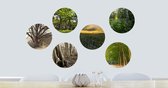 Ideasonthefloor.com - Behangcirkel - Zelfklevend - Titel: Tree - serie van 6 - Ø 25cm - Bomen en Natuur