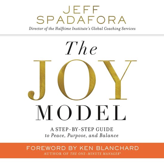 The Joy Model - cover