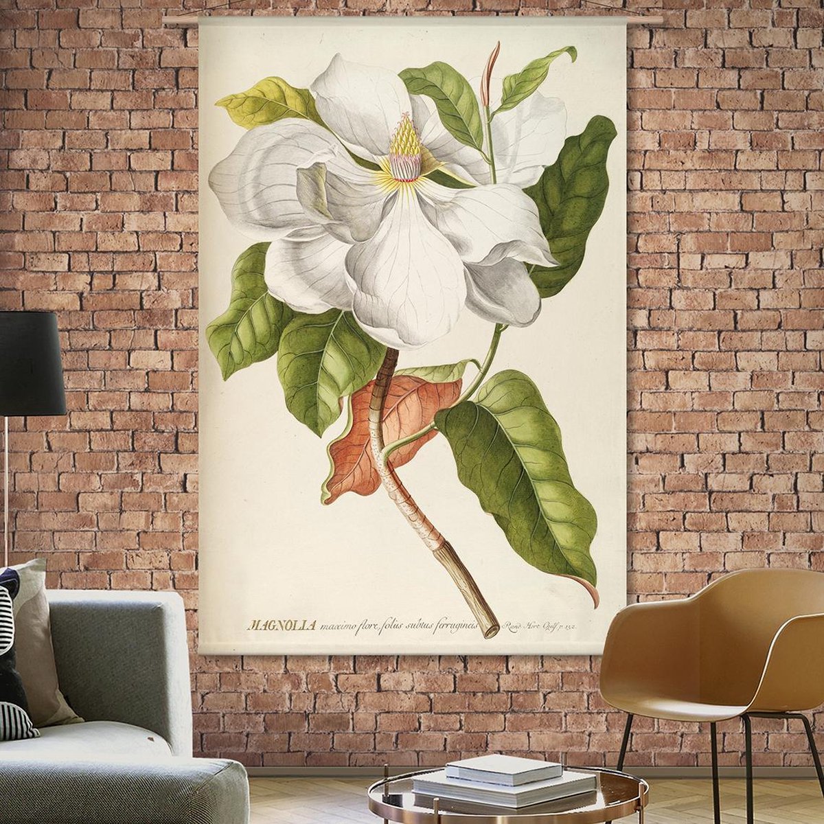 Wandkleed Magnolia - botanische prent van G. D. Ehret