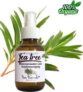 Teatree water 100 ml | Tea tree Hydrolaat | 100% Puur | Biologisch | Roomspray | Bodyspray | Gezichtstonic | Huidverzorging | Pure Naturals