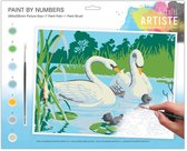 Large Painting By Numbers - Serene Swans