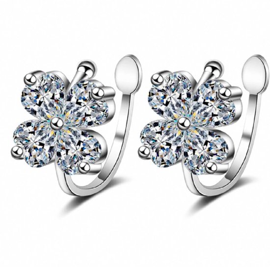 setje oorbellen 2 gaatjes zilver