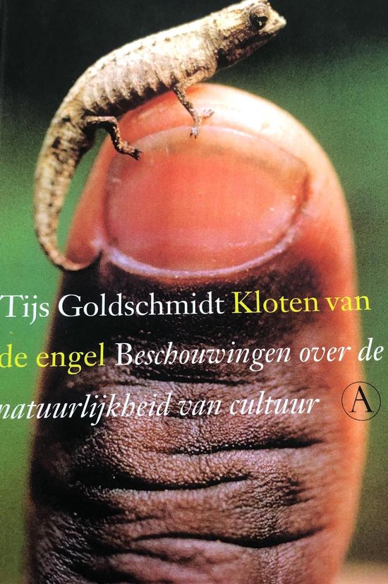 Cover van het boek 'Kloten van de engel' van Tijs Goldschmidt