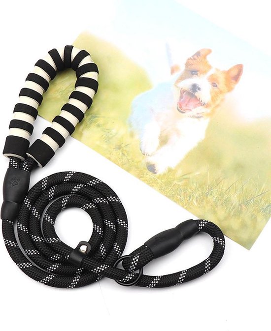 Hondenriem Sliplijn Cesar Millan - Trainings halsband- Zwart - Pixypet | bol.com