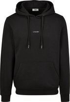 LXURY Fitness Hoodie Zwart Maat XL - Truien - Heren - Sportkleding - Sport Trui - Kleding - Volwassenen