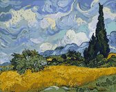 Joeni® Schilderen op nummer - 40x50cm - Kunst: Korenveld met Cipressen (Van Gogh) - Volwassenen - Geschenkverpakking