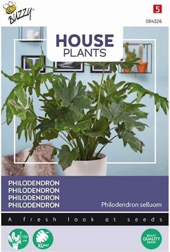 Buzzy® House Plants Philodendron Selluom