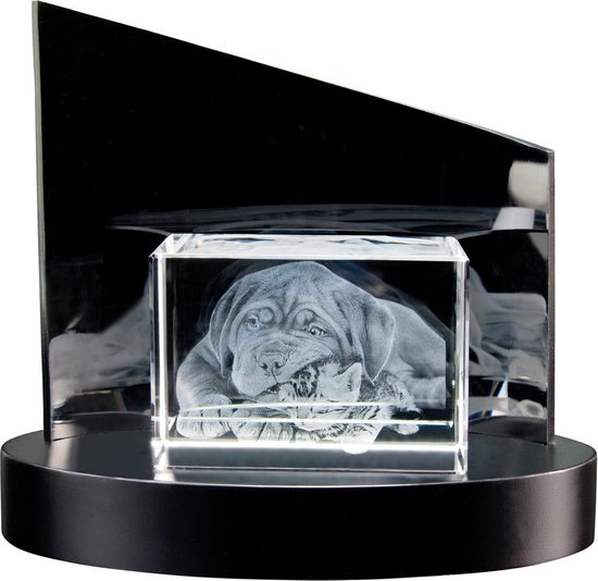 3D Foto in glas Afm: 100 x 70 x 60 mm met fraaie, design lichtsokkel * AANBIEDING *