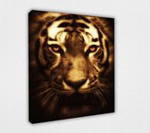 Tijger 60x70 cm, Canvas schilderij uitgerekt op het frame, 100% katoen, Wanddecoratie