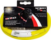 Hondenhalsband - LED halsband - Kleur: Geel - Afmeting: 20-75cm
