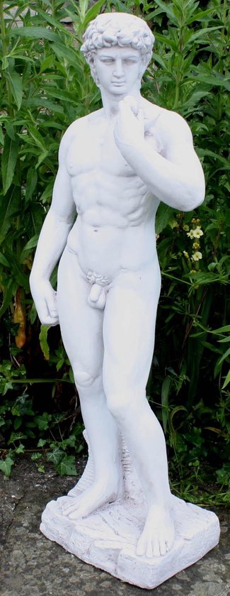 Sluit een verzekering af Kapper Proberen Decoratief 'Michelangelo's David' - Tuin Decoratie Beeld - Stone Effect  David Statue | bol.com
