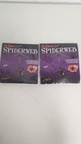 2x Halloween spinnenweb