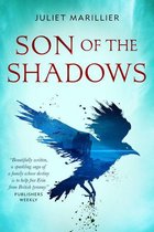 The Sevenwaters Trilogy 2 - Son of the Shadows